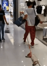 |搞笑GIF:姑娘 能不能告诉我你是怎样坐进去的