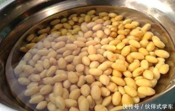 王大伯养花不施肥,反而给花吃“农作物”吃完植株蹭蹭长!