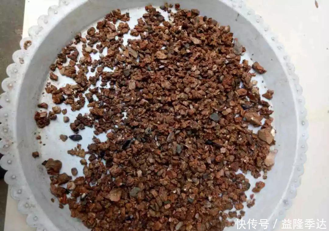 煤渣|家里吃剩的果皮，拿来养花嗖嗖长，不黄叶、开花多