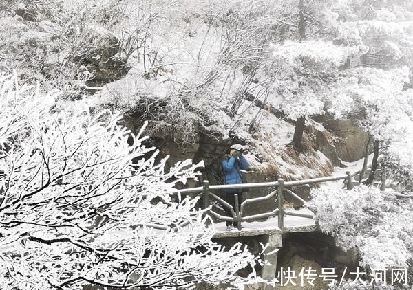 第一场雪|视觉｜银装素裹分外妖娆，尧山第一场雪来了