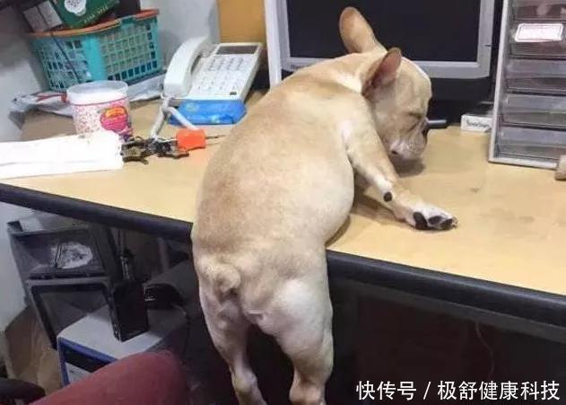 如果有人让你累了就在桌上趴一会,可以回身给他一个大嘴巴