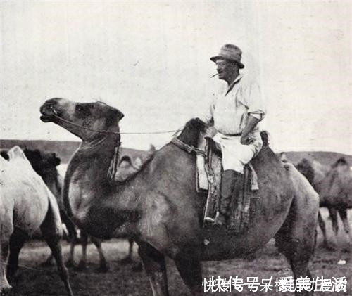 回国|日本18岁和尚，从楼兰古城墙中抠走一张纸，带回国后成了镇馆之宝