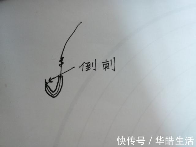 解析四种不同鱼情下蚯蚓的科学挂法，最后两种更是独创