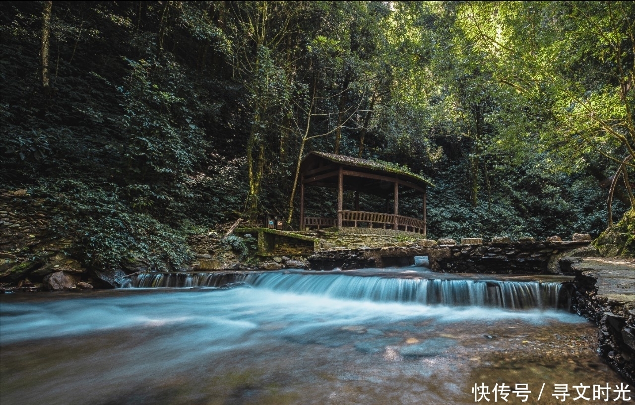 通道|中国历史上最著名的国际贸易古通道之一，茶马古道