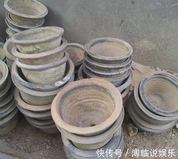 别买花盆了，去垃圾堆“逛1圈”，1分钱不用花，捡来一百个！