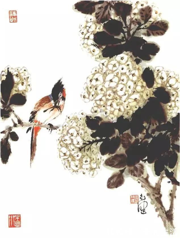花鸟画@他的师父是海派小写意花鸟画第一人江寒汀,其作品自然也不差