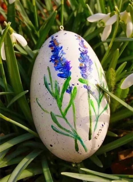 给花浇点“开花水”,花苞全都冒出来,比激素还管用!