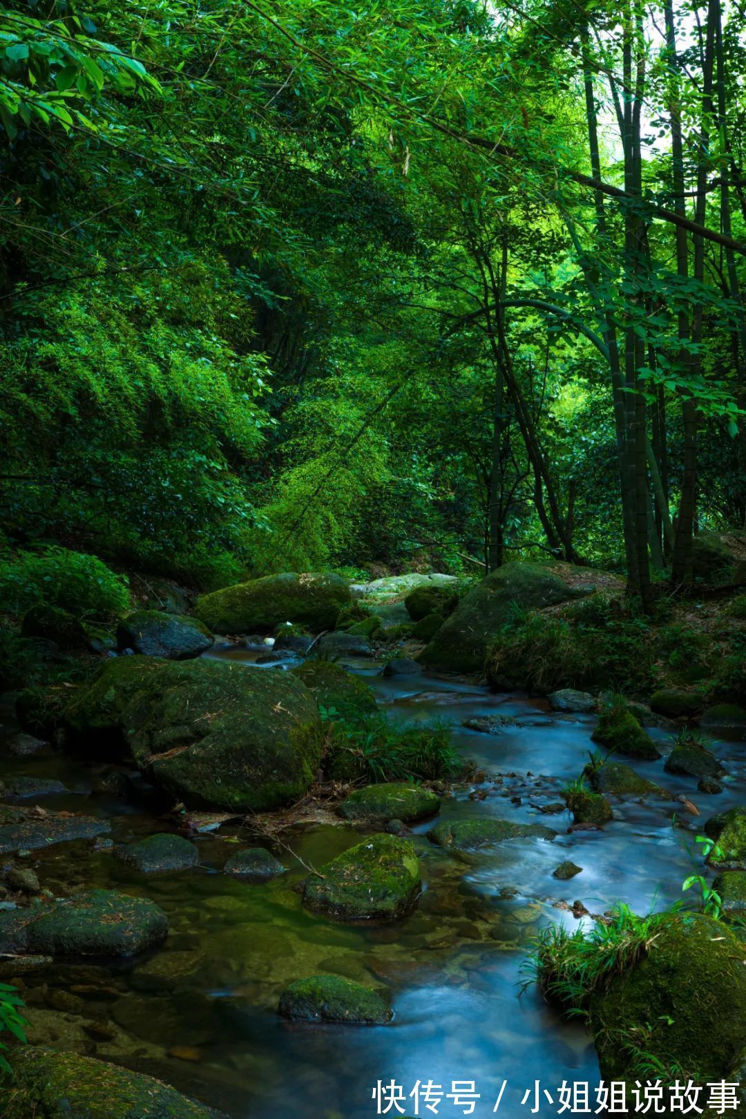 醉氧|中秋打卡｜出发舜皇山！开启一场“醉氧”之旅