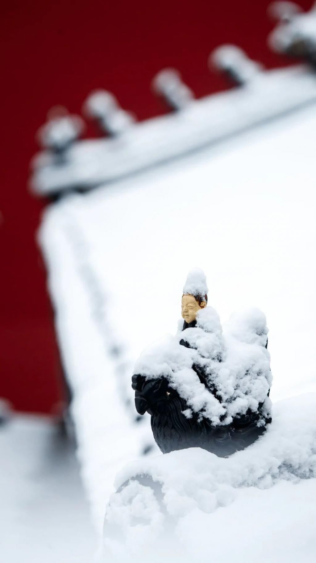 敬颂|岁末将至 敬颂冬绥