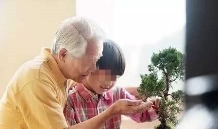 小学生作文|小学生作文《爷爷》,全篇26字没有华丽语言,却让人感动