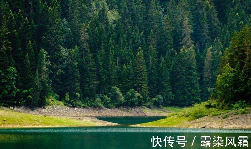 雄浑#北宋诗人王令一首《大松》,松树形象大气磅礴,青春之志令人赞扬