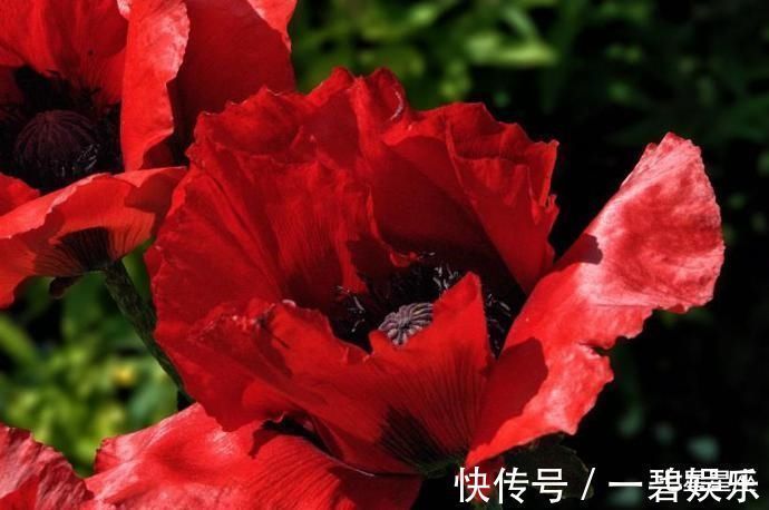 生肖|未来一月有横财,买彩票中百万大奖的3大生肖