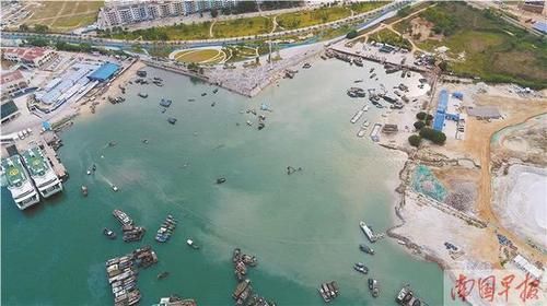 2021年3月31日焦点图