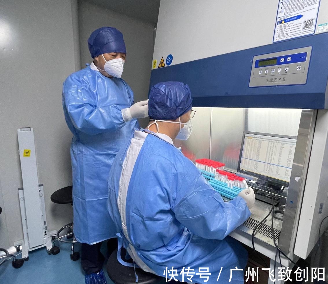 检测报告|核酸检测报告的背后，离不开条形码和检测团队！