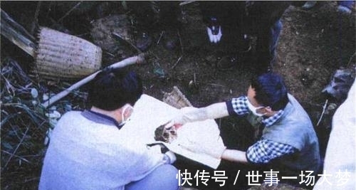 猴娃|三峡猴娃是不是野人？猴娃的六大变异，20年来科学都难以给出解释