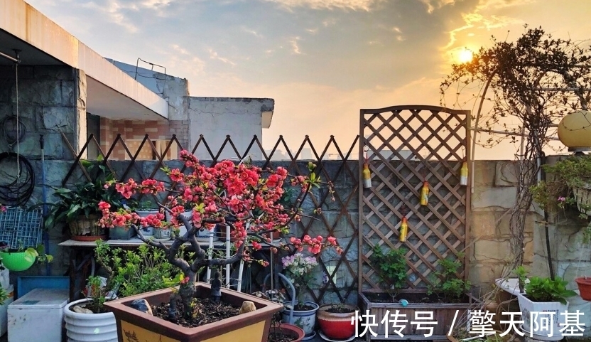 团结|父母不在了,兄弟姐妹很快就散了的家庭,多半是因为这四个原因