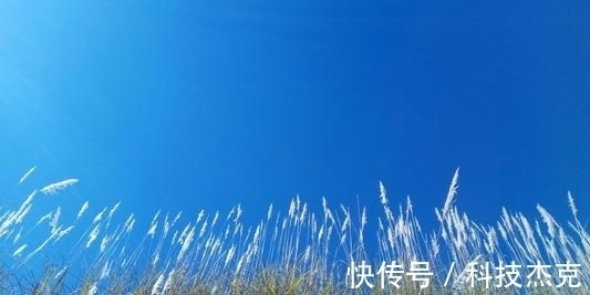 屯$道经里的十六字心传,早已记载在《周易》里的这个字中!