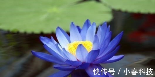 弱点!这五种事,烂在肚子里也不能对别人说,避免惹祸