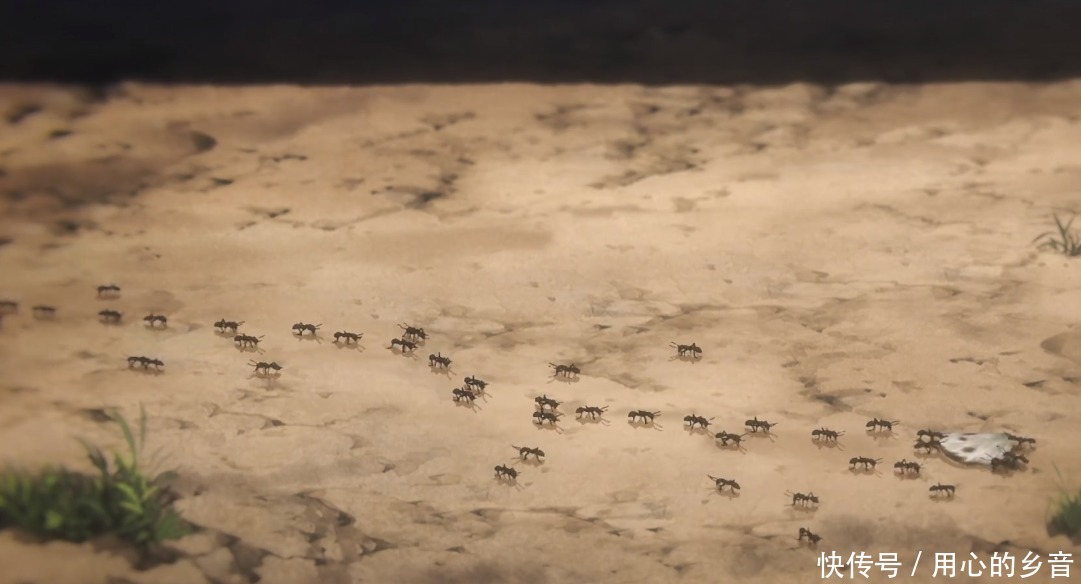 咒术回战姐妹校交流会完结，五条悟开大踩蚂蚁是威慑吗