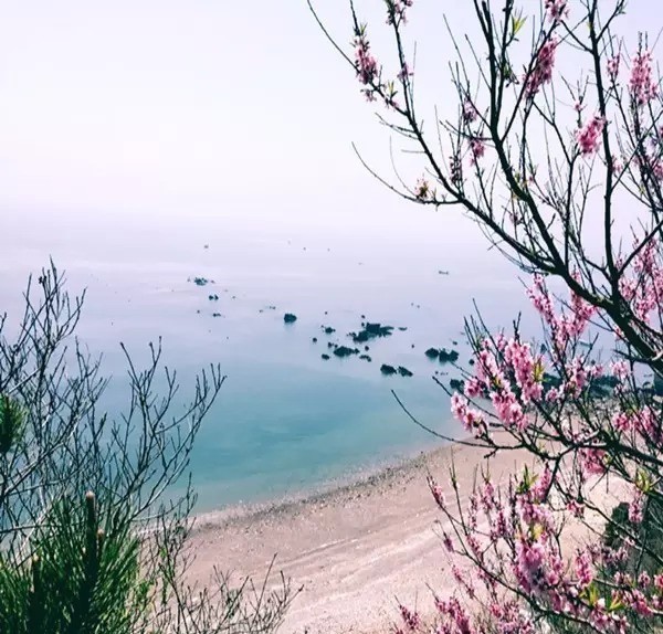 曾国藩诗10首：倚天照海花无数，流水高山心自知