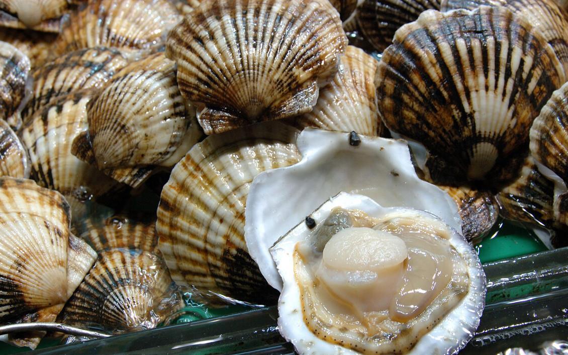 做扇贝别再用水煮了,海边人教你正确做法,肉质鲜嫩不回缩