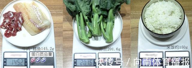 蛋白质类|不节食不运动能减肥吗?我亲自测试了5天,测完眼泪掉下来