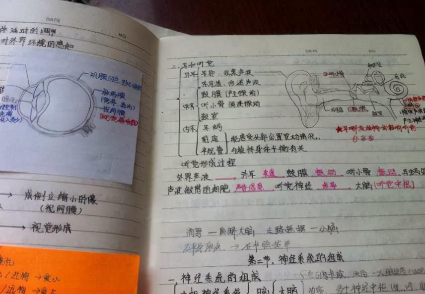 学习成绩好|同样是上课记笔记，学霸和学渣存在很大不同，你属于哪个阵营？