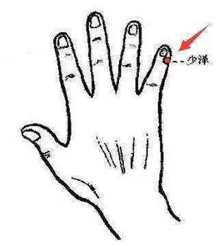 三焦|早晨捏六指尖,打开全天阳气!一个中医人的养生探索