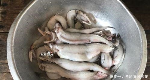 你记忆中妈妈的味道,是一道什么美食