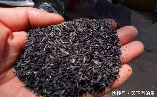 植物|养花杀手的臭毛病,怪不得养啥都死