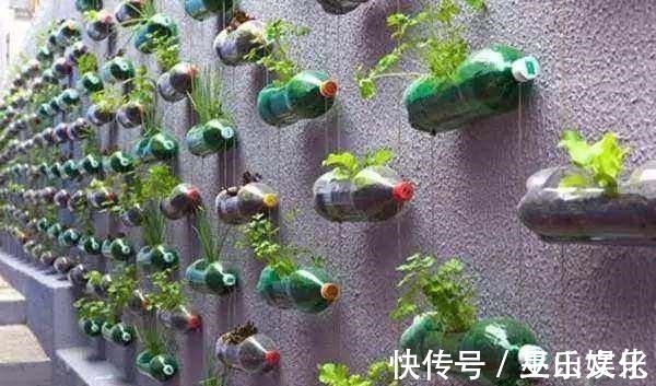 花盆别买了,家里找一找就有,不要的牛仔裤也能当花盆养花