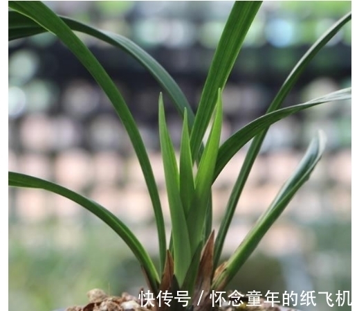 别看人家赚几百万，你一旦跟风就得交智商税！