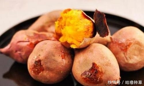 红薯|蒸红薯时,锅里放水就错了,教你一种方法,做出来比烤红薯还香甜