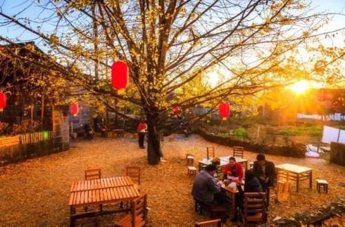 美哭了！2021年国内旅行时间表出炉！承包你一整年的旅行！