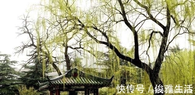 莫道桑榆|牛!他写诗劝白居易莫怕老,却激起天下所有老人的豪情,名句流传