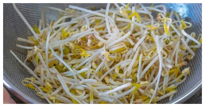 在家发豆芽原来这么简单,又粗又嫩不会烂,做法超简单,4天开吃