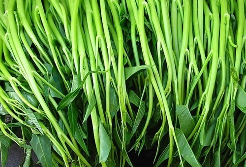 排毒养颜|空心菜与此物混着吃,就是没病找病,还有人每天都吃的停不下来