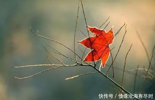 李中梓|肺,真正的先天之本所有养生都始于肺,3招疏通肺经,百病难侵