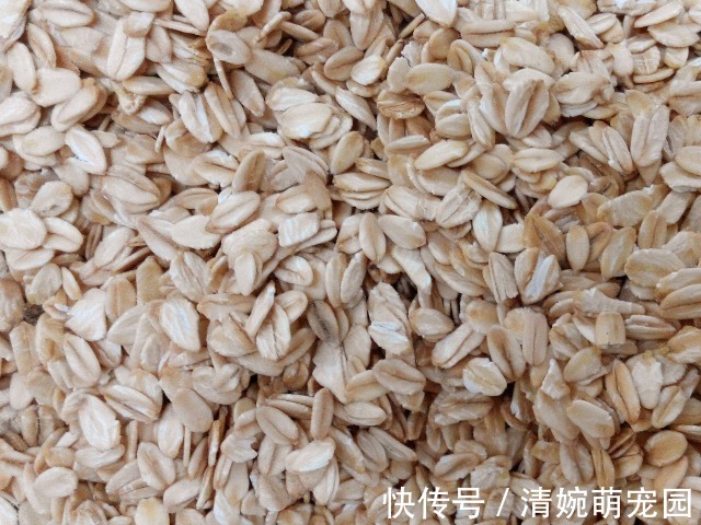 菠菜|天然的“叶酸”找到了,孕妈怀孕以后尽量多吃,或对胎儿发育有益