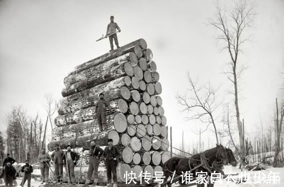 跟老婆下象棋,为了公平 ,我说不带象过河,马