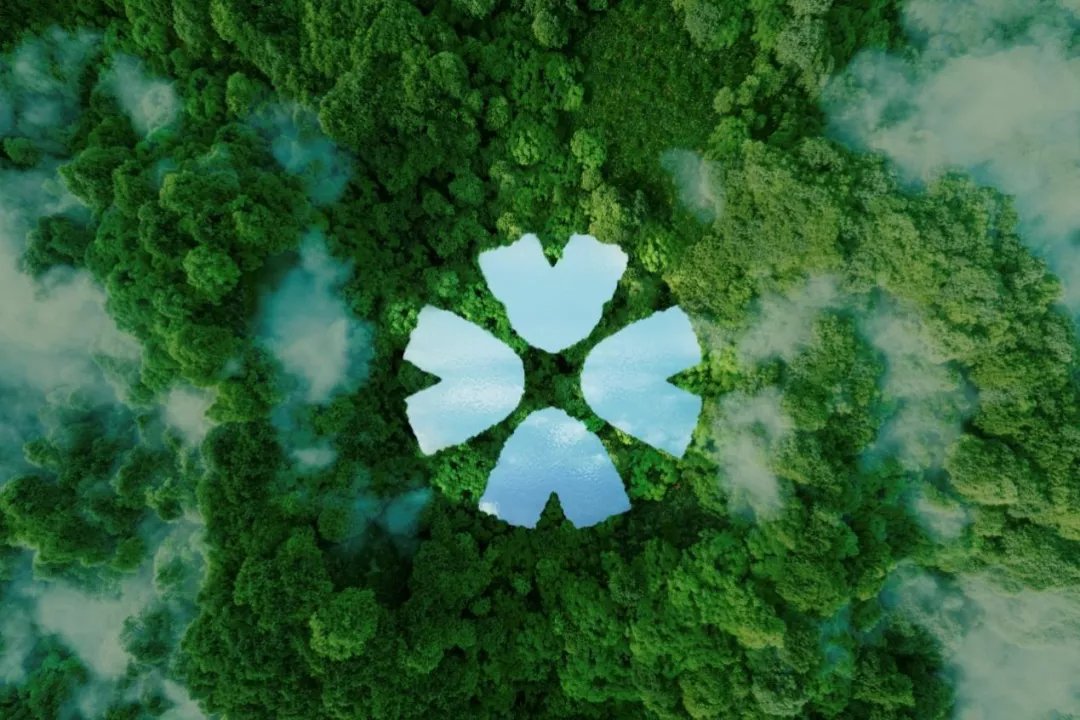 鲜花|箱箱共用：做物流包装领域的＂特斯拉＂
