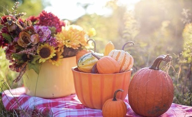 秦老|老公110岁,老伴儿96岁,这对长寿夫妻的养生秘笈,值得借鉴