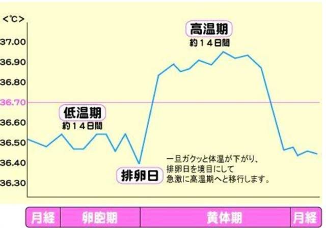 备孕|“造人计划”开始前，除了吃叶酸意外还有哪些备孕技巧？值得一看