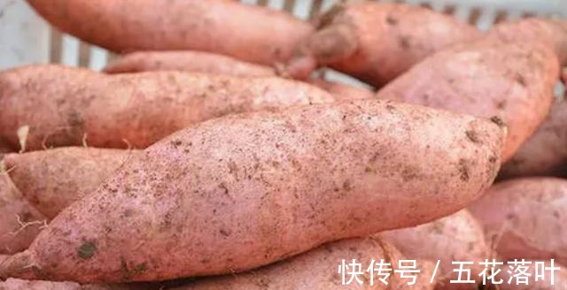 红薯|秋天少吃寒性食物，不妨多吃这5种食材，适合秋燥季节，要懂得吃！