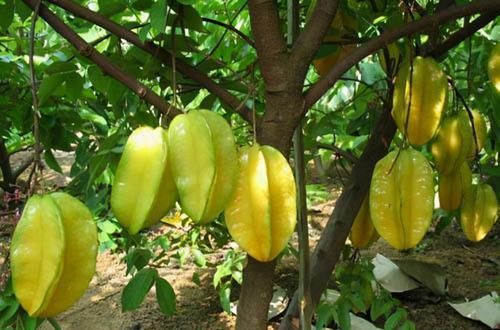 想长寿要靠吃，三种食物离不开，补充营养，有益健康！