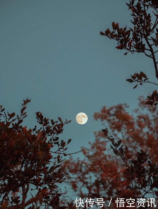 隐士@王维写黄昏的一首诗,只有短短8句,却惊艳了世人一千多年