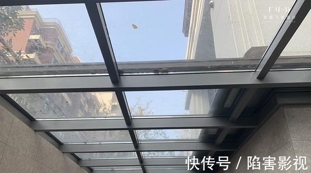 地下室|底楼洋房带地下室，改造后规划3大板块，装阳光房配电动顶，心动