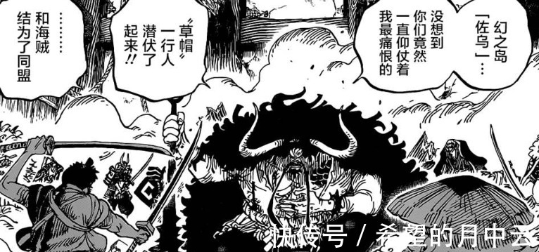 海贼王|海贼王991话是九侠太强了,还是凯多团太弱了资深海迷道真相