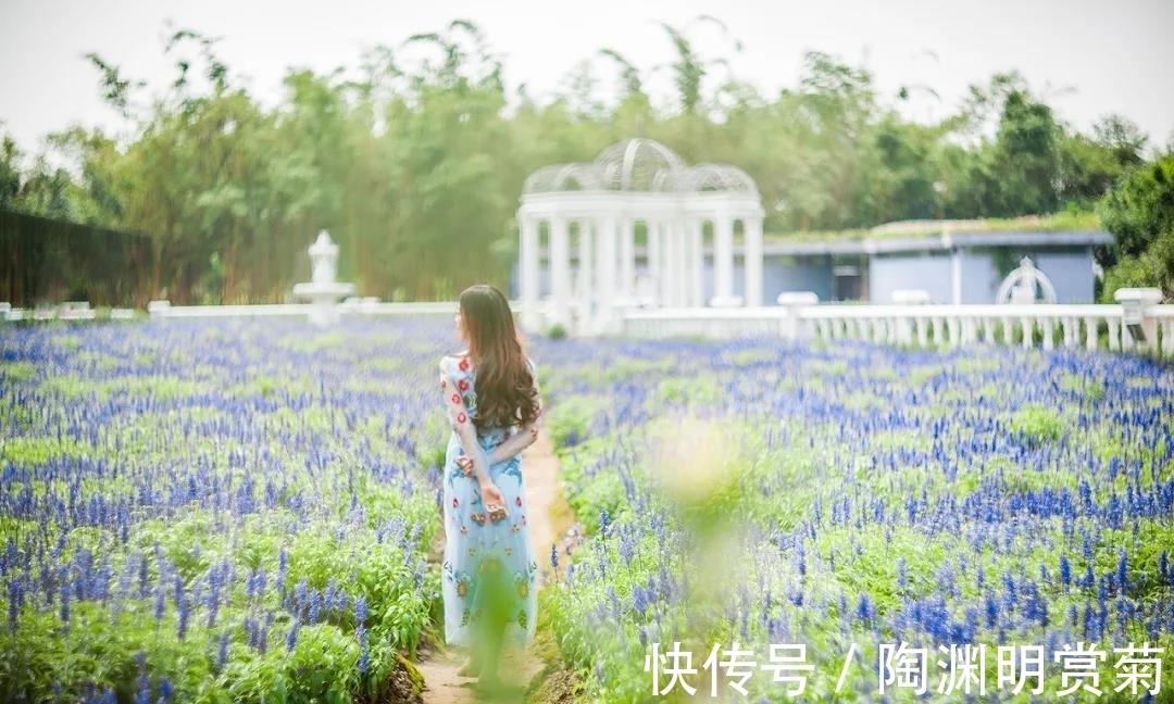 基底&做不到自律,还有一种方法可以提升自己,值得收藏