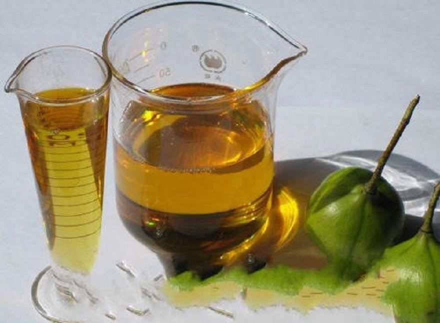 美方|抗战初期，70吨桐油能换一架战斗机，美方：用桐油来抵押贷款